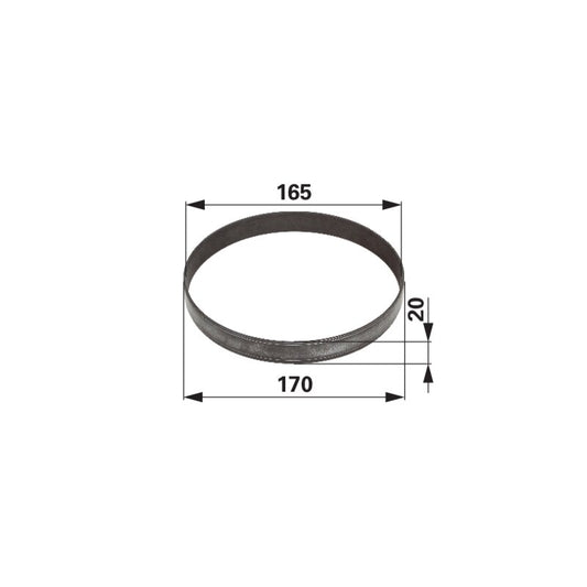 Laufring 165 x 170 x 20 mm anstelle von Steyr 135700411043