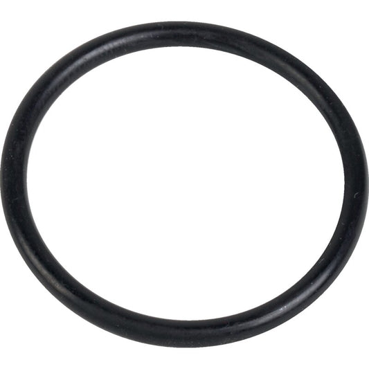 O-Ring 29,82 x 2,62 mm 1-33-742-617