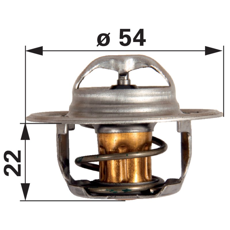 Thermostat 74 Grad anstelle 1406 040066